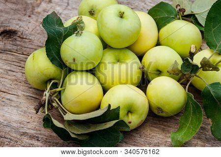 Fresh Ripe Apples On Rustic Wooden Table