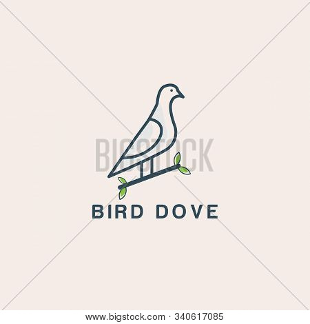Vector Bird Dove Icon Logo Design Template