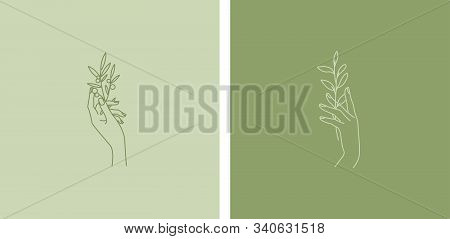 Vector Emblem Design Set In Trendy Linear Minimal Style. Hands With Tree Branch - Symbol For Cosmeti