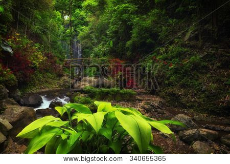 View of Labuhan Kebo Waterfall located in Munduk, Bali