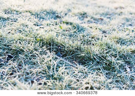 Wintery Texture Of Grass And Ice In A Sunny Day