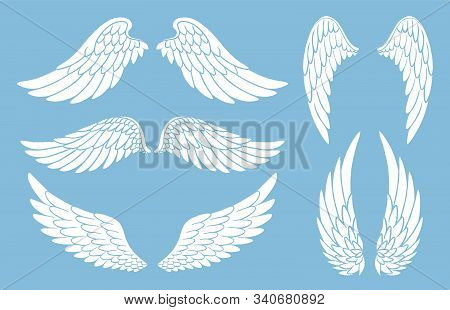 Set Of Hand Drawn Bird Or Angel Wings Of Different Shape In Open Position. Doodle Wings White Silhou