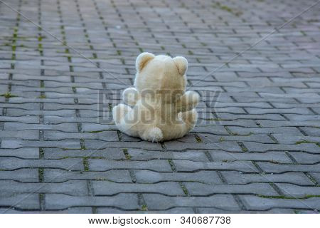 Soft Toy Bear Sitting On The Pavemen