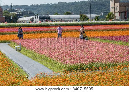 Daxi, Taiwan - November 15th, 2019: tourists walk at the garden in Daxi event of Taoyuan Flower Festival in Taoyuan, Taiwan, Asia