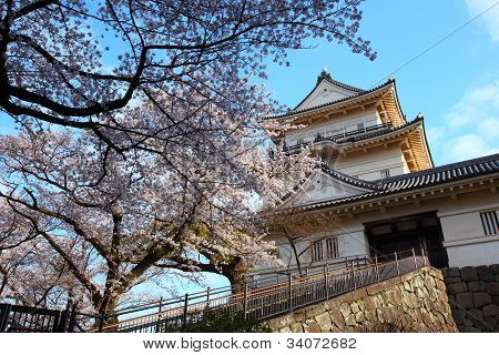 Odawara linna ja Cherry Blossom