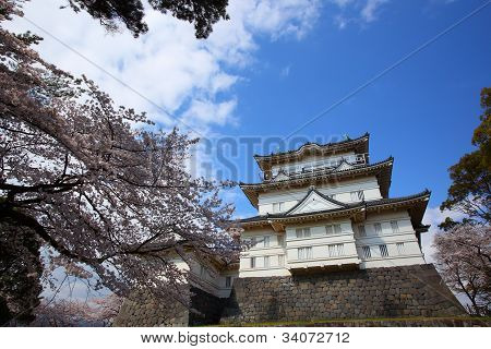 Odawara linna ja Cherry Blossom