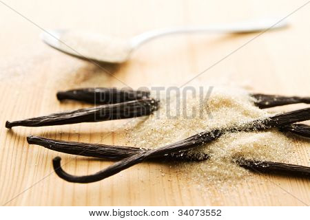 淡棕色香草糖和香草豆深度较小的字段