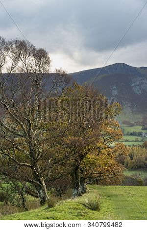 Stunning Autumn Fall Landscape View Along Valley Towards Mellbreak And Grasmoor In Lake District Wit