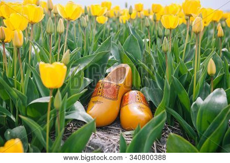 Close Up Typical Dutch National Wooden Clogs .