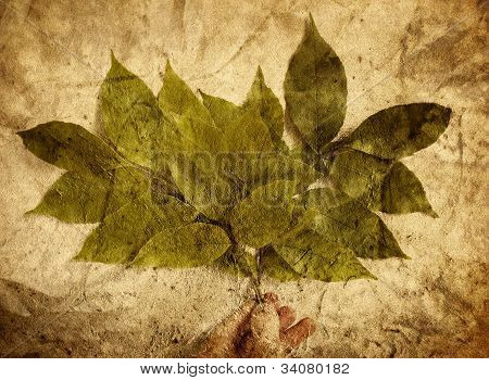 Grunge Leaves