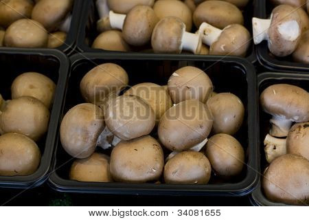 Cogumelos marrons