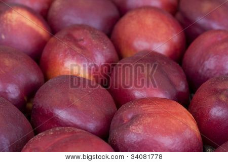 Nectarinas