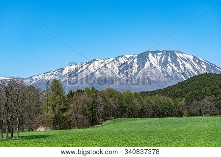 Beauty Nature View, Snowcapped Mountain Range In Background, Forest And Green Grassland In Foregroun