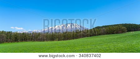 Beauty Nature View, Snowcapped Mountain Range In Background, Forest And Green Grassland In Foregroun