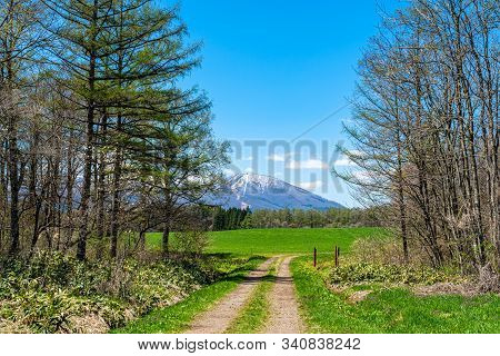 Beauty Nature View, Snowcapped Mountain Range In Background, Forest And Green Grassland In Foregroun