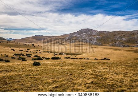 Mavrovo National Park - Mavrovo And Rostusa Municipality, North Macedonia, Europe