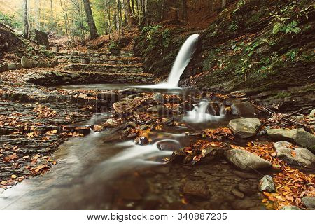 Autumn Mountain Waterfall Stream In The Rocks With Colorful Red Fallen Dry Leaves, Natural Seasonal 