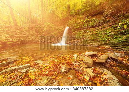 Autumn Mountain Waterfall Stream In The Rocks With Colorful Red Fallen Dry Leaves, Natural Seasonal 