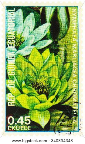 Moscow, Russia - December 22, 2019: Stamp Printed In Equatorial Guinea Shows Aquatic Plant Nymphaea 