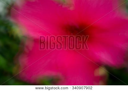 Abstract Image Of A Flower Photographed Using Icm-intentional Camera Movement Technique.
