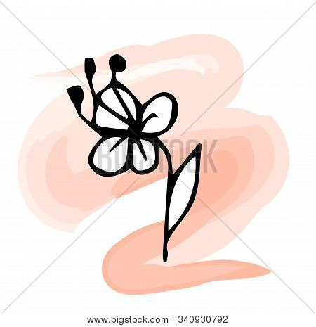 Hand-drawn Flower. Hand-drawn Vector Stock Illustration. Isolated On A Beautiful Background.