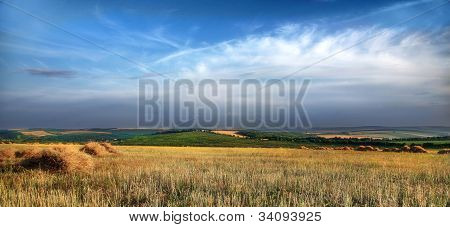 field
