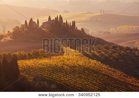 Beautiful Golden Sunrise In Tuscany, Italy With Vineyard. Natural Idillyc Seasonal Autumn Background