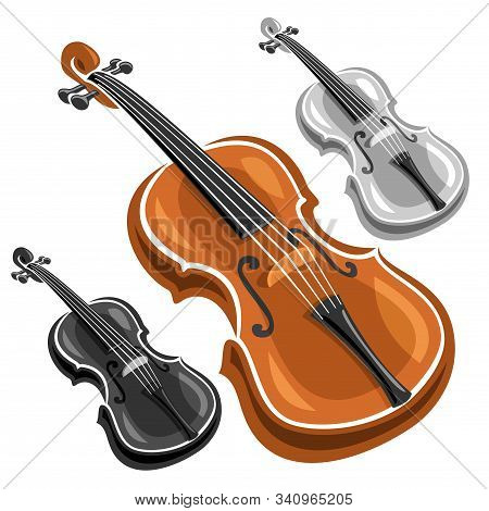 Vector Set Of Violins, Collection Of 3 Cut Out Illustrations Of Classical Violins Different Monochro