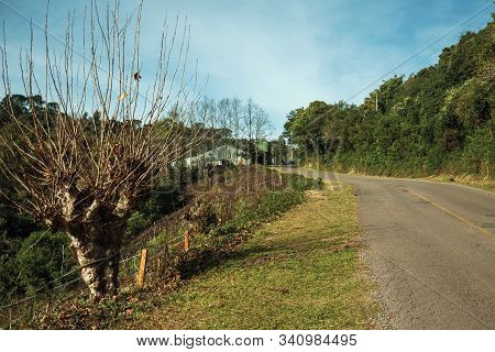 Bucolic Rural Landscape With Asphalt Road Going Through The Hill And Woods In A Cloudy Day Near Bent