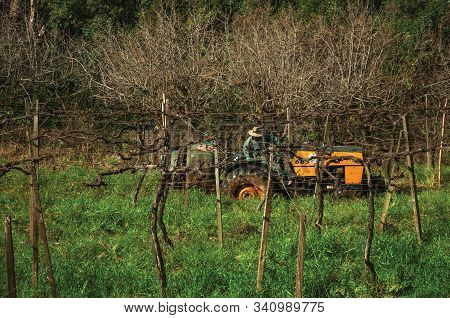 Rural Landscape With A Farmer Working On A Tractor Amid Rows Of Leafless Grapevines, In A Vineyard N