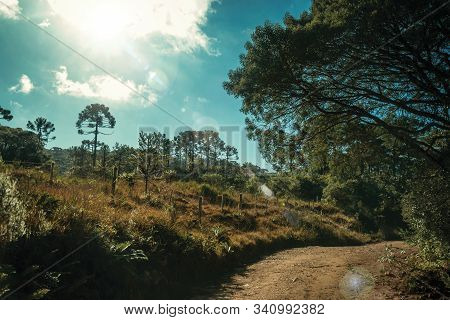 Dirt Pathway On Wooded Landscape And Sunlight In Aparados Da Serra National Park, Near Cambara Do Su