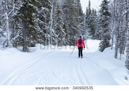 Cross Country Skiing In Yllas, Finland, Lapland
