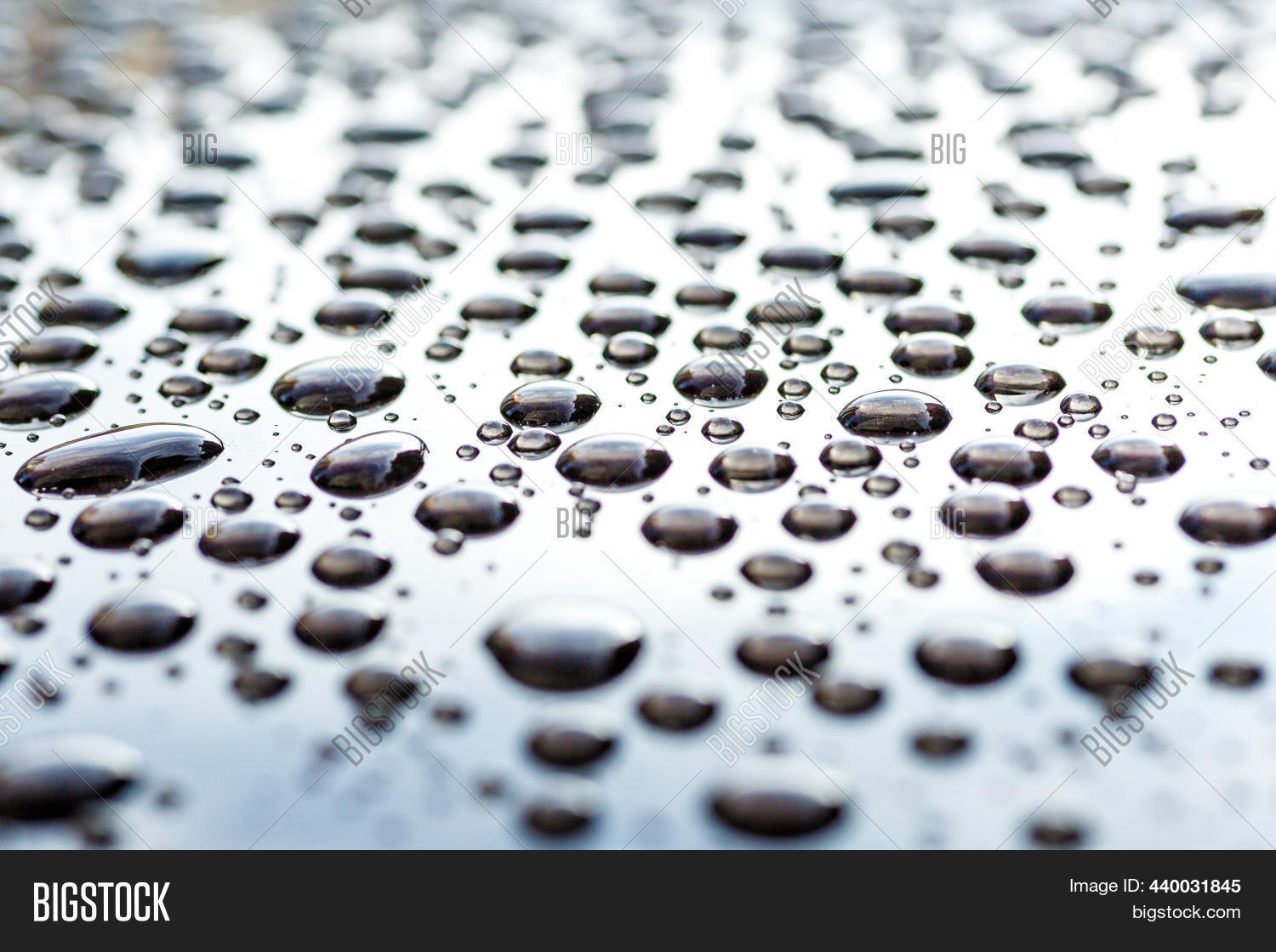 Pattern Water Drops Image & Photo (Free Trial) Bigstock