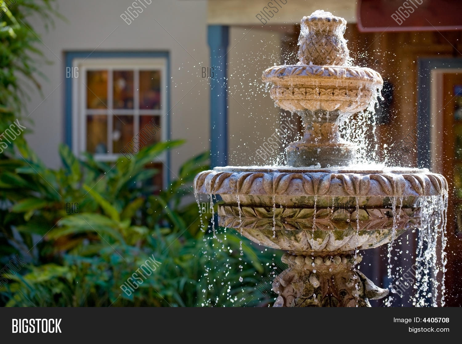 Image Preview