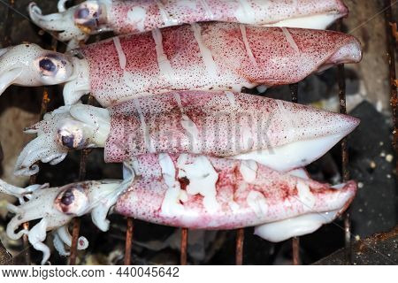 Delicious Grilled Splendid Squid Fresh From The Sea And Safe From Formalin