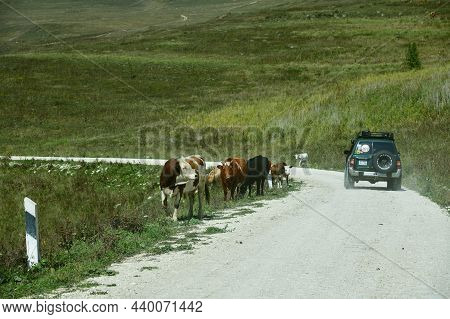 Off-road Car Safari In Chechen Republic, Russia