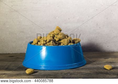 Plastic Plate Eat Slow With Balanced Food For Dogs And Cats