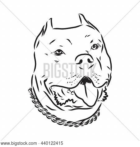 Sketch Of Dog Pit Bull Terrier. Vector Illustration