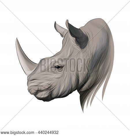 Rhino Head Portrait, Rhinoceros, Color Drawing, Realistic