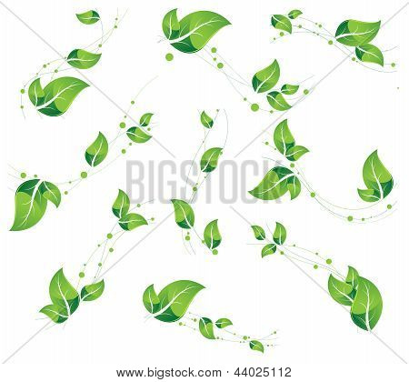 Vegetative Elements Set