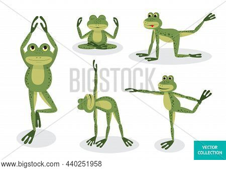 Funny Frogs Doing Yoga. Frogs In Different Poses. Vector Illustration. Vector Collection, Set