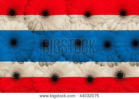 様式化されたガーベラの花を持つタイの国旗