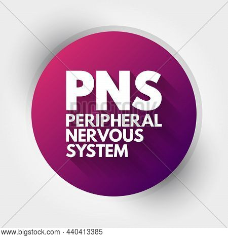 Pns - Peripheral Nervous System Acronym, Medical Concept Background