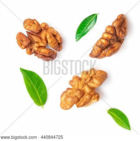 Walnut Isolated. Walnut Kernel Nut  On White Background. Collection. Top View. Flat Lay.
