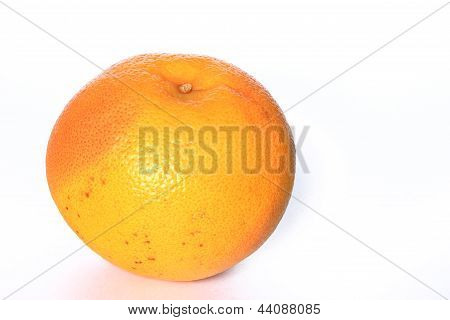 Pompelmo