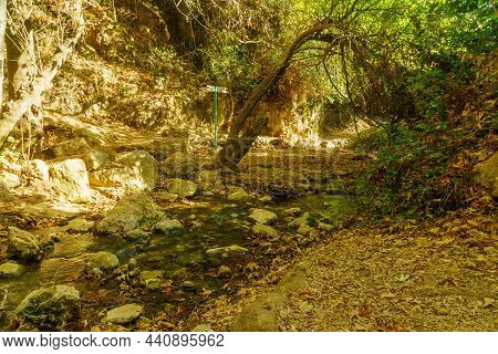 View Of Water Stream And Fall Foliage, And Directional Signs, In The Amud Stream Nature Reserve, Upp