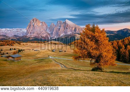 Gorgeous morning scene in Compaccio village and bright larchs. Location place Dolomiti alps, Seiser Alm or Alpe di Siusi, South Tyrol, Italy, Europe. Photo wallpaper. Discover the beauty of earth.