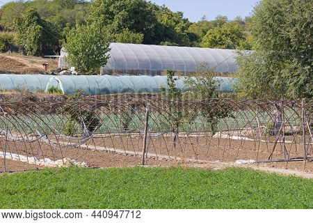 Poly Tunnels Vegetables And Fruits Farming Agriculture