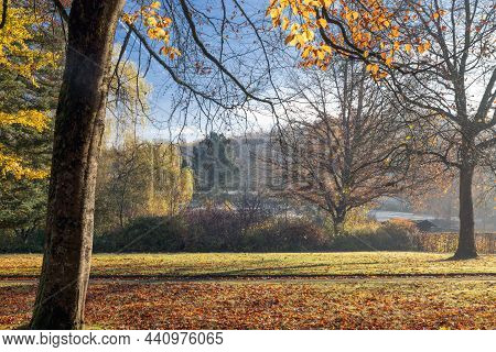 Autumn Colors In Public Park With Beautiful Sunlight Near German Brilon
