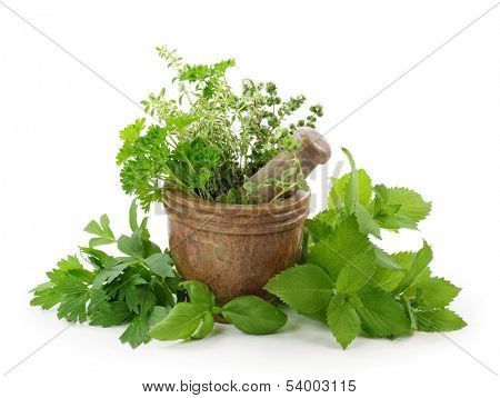 Mortar with herbs isolated on white background